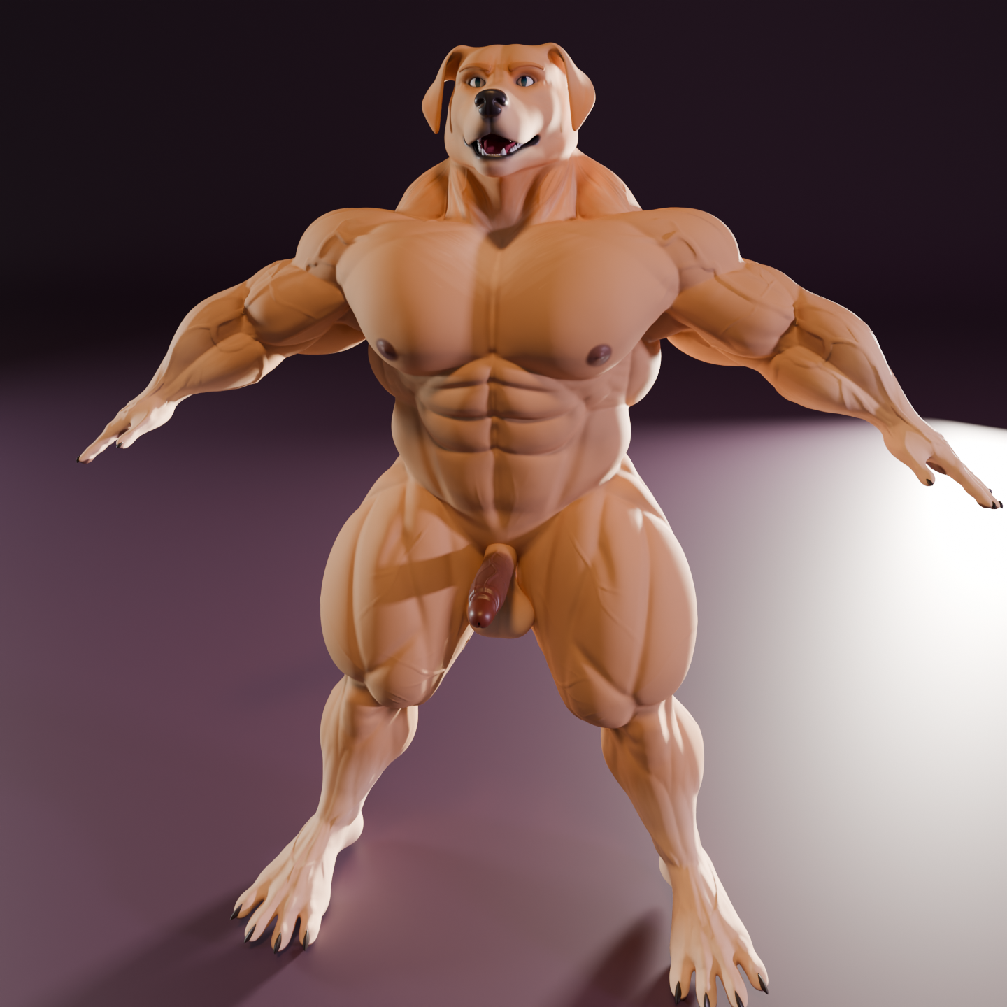 Mr. Dog – Golden Retriever