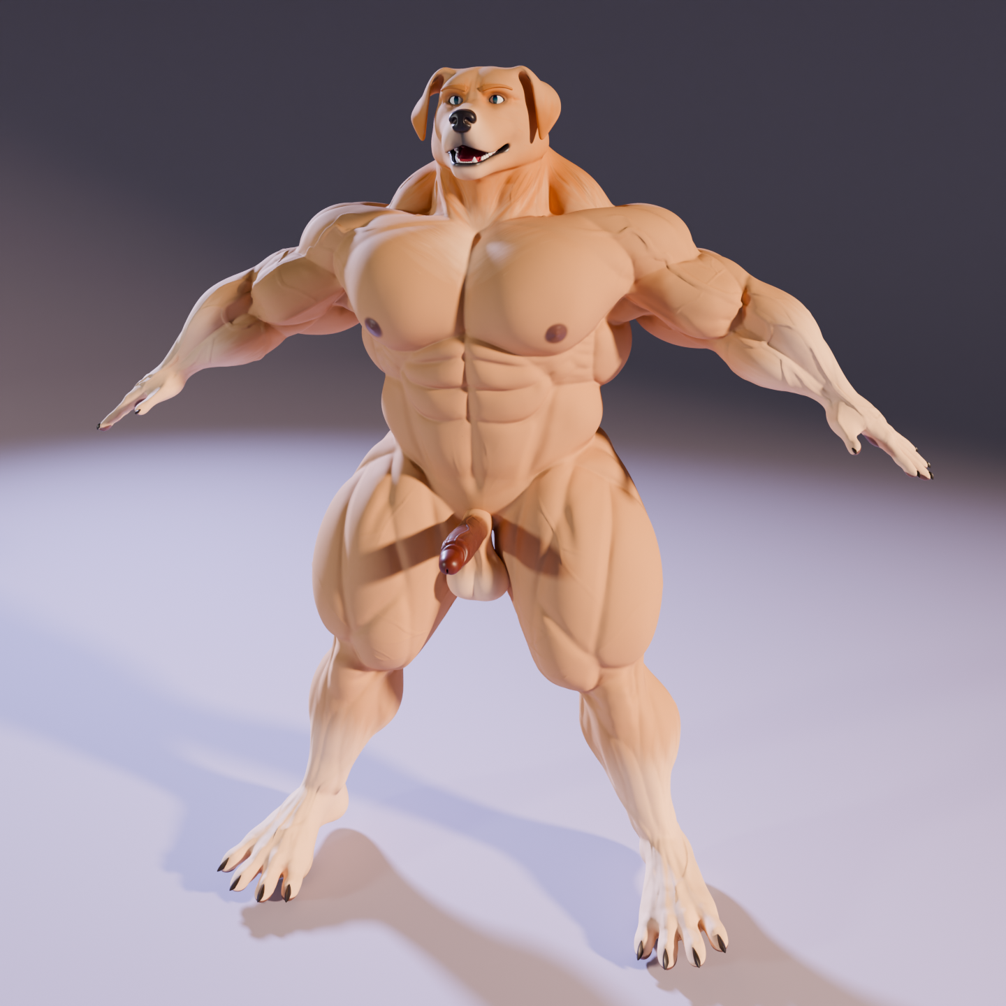 Mr. Dog – Golden Retriever