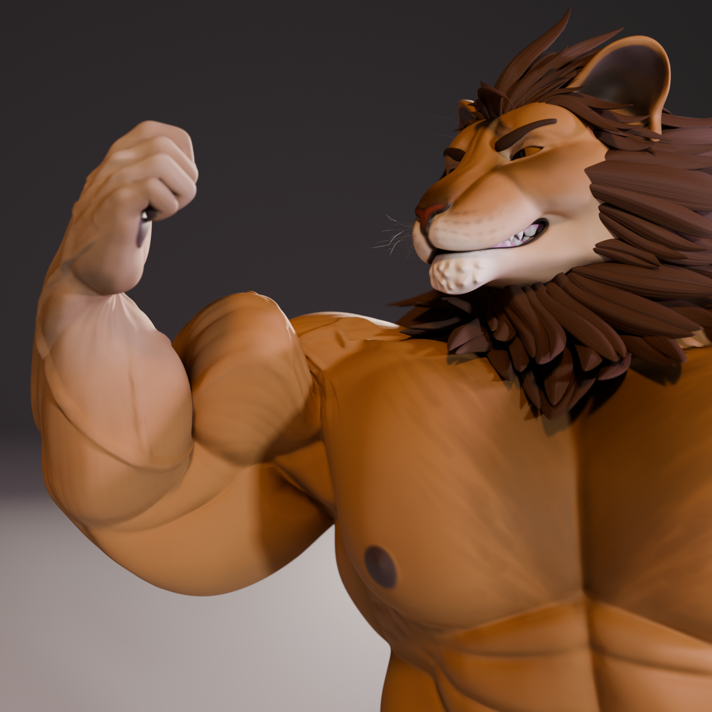 Mr. Cat – Lion