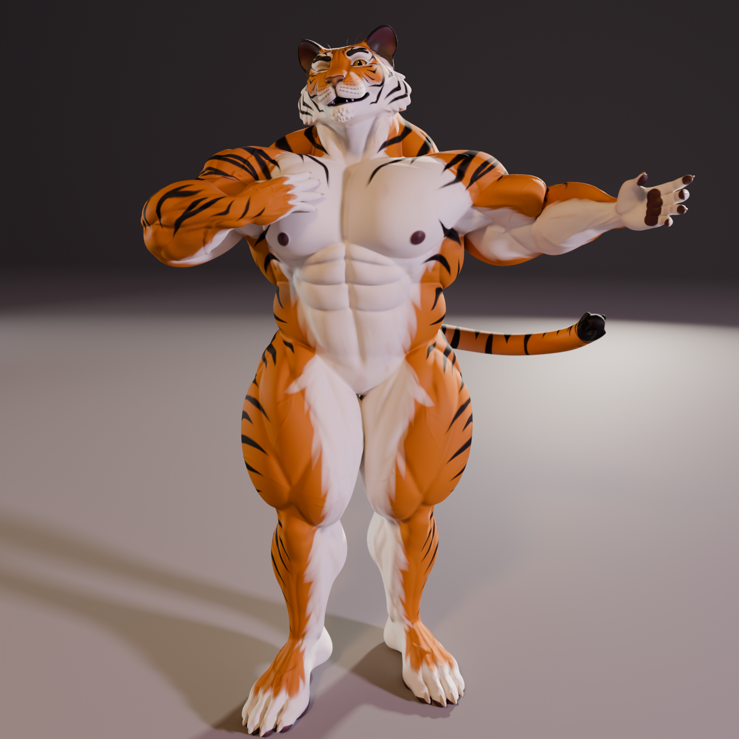 Mr. Cat – Tiger