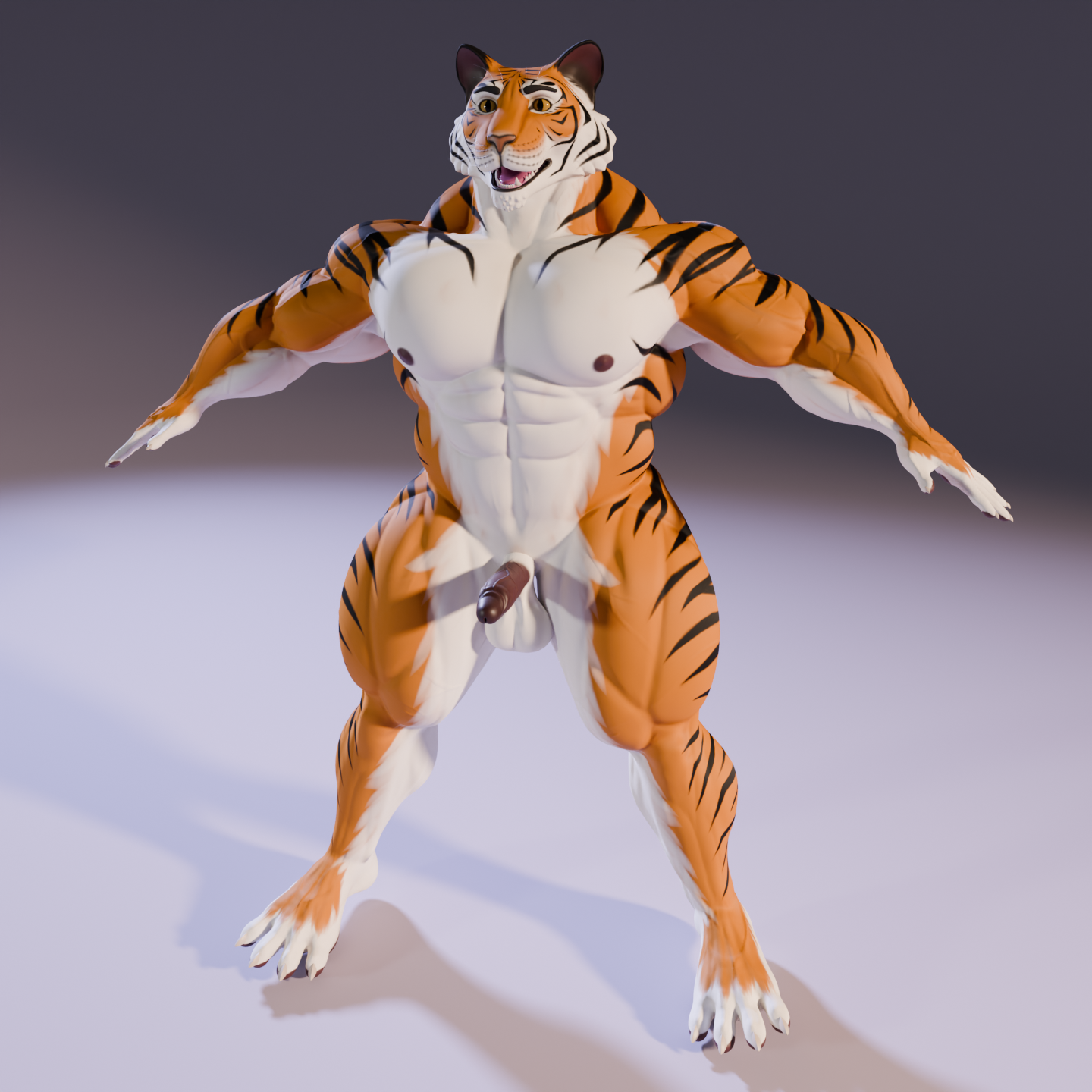 Mr. Cat – Tiger